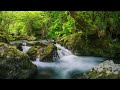 Relaxing Music For Stress Relief, Anxiety and Depressive States • Heal Mind, Body - Piano Music