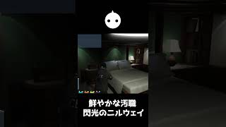 APEXで鍛えた最強のメンタルで『閃光の汚職』をするNIRU【VCR GTA】