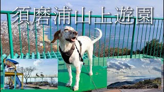 228.冬の【須磨浦公園〜山上遊園②】神戸市 鉢伏山と旗振山とレトロ遊園地✨ 景色も良くハイキングも楽しめます😊 六甲全山縦走路のスタート地点にもなっています🌈 軽食を取ってからの絶景が最高でした😄✨