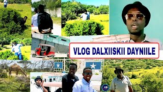 Vlog Dalxiiskii Dayniile