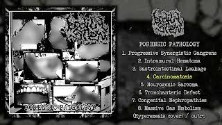 Bodily Stew - Forensic Pathology FULL EP (2022 - Goregrind)