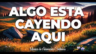 MÚSICA CRISTIANA QUE LEVANTA EL ÁNIMO🎶MUSICA CRISTIANA 2025 PARA SENTIR LA PRESENCIA DE DIOS