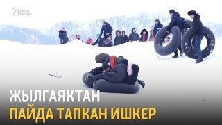 Жылгаяктан пайда тапкан ишкер