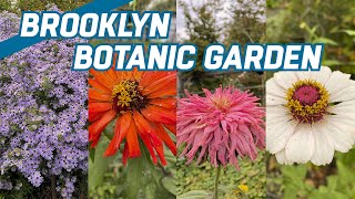 Jardin Botanico de Brooklyn 🌷 Colores de OTOÑO 🍁🍂🍁