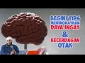Cara Meningkatkan Daya Ingat dan Kecerdasan Otak - dr Zaidul Akbar