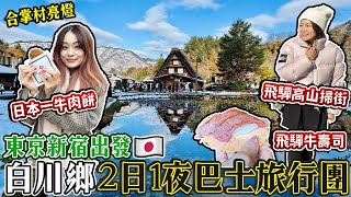 東京出發巴士旅行團！世界遺產白川鄉+飛驒高山掃街+合掌村亮燈+溫泉旅館｜日本第一牛肉餅\u0026飛驒牛壽司必吃！｜日本菇菇菇