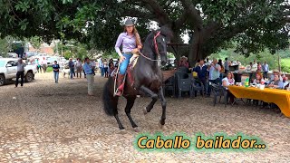 ISABEL Y SU CABALLO BAILADOR 4k