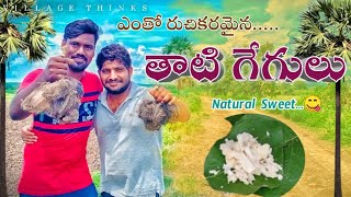 రుచికరమైన తాటి గేగులు | Palm Tree Gages | Village Natural Sweet | Village Thinks