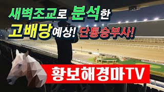 황보해경마TV 7월 3째주 일요일 야간경마 승부경주 강력추천!!