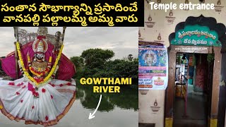 వానపల్లి శ్రీ పల్లాలమ్మ అమ్మవారి ఆలయ చరిత్ర మరియు విశిష్టత | శ్రీ పల్లాలమ్మ తల్లి