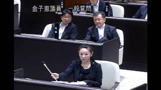 平成２７年第２回定例会（H27.6.5)金子恵議員一般質問