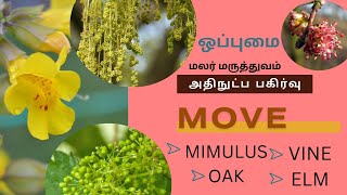 MOVE | அதிநுட்ப பகிர்வு | மலர் மருத்துவம் | ஒப்புமை #thebrainliest #lawofattraction