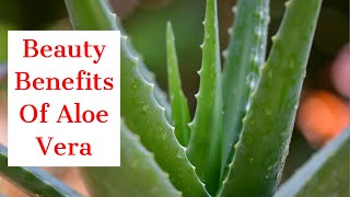 Beauty Benefits Of Aloe Vera for Your Hair and Skin | Simple Remedies