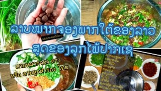 วิธีทำลาบลูกสำรอง ວິທີເຮັດລາບໝາກຈອງລາວໃຕ້@Pathana999