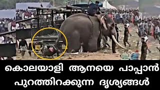 നാല് മയക്കുവെടി വേണ്ടി വന്നു ഈ ആനയെ തളക്കാൻ |  elephant attack kerala