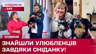 🐾 Історії врятованих тварин, яких взяли до родин завдяки Сніданку з 1+1