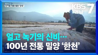 [현장속으로] 얼고 녹기의 신비…100년 전통 밀양 ‘한천’ / KBS  2022.01.17.