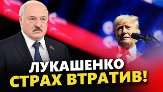 🔥ЗНАХАБНІЛИЙ диктатор НАВАЖИВСЯ Трампа ПОВЧАТИ! Неймовірна ЗАЯВА Лукашенка стосовно війни і США