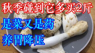 秋季碰到它多买2斤，是菜又是药，养胃降血压，好吃还不贵！ | 李医生谈健康【中医养生】