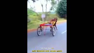 ஆளே இல்லாமல் மாஸ் காட்டிய குதிரை🔥/@tn69reklarace69 #horse#rekla#youtubeshorts