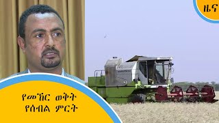 የመኸር ወቅት የሰብል ምርት