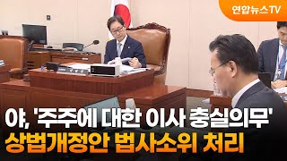 야, '주주에 대한 이사 충실의무' 상법개정안 법사소위 처리 / 연합뉴스TV (YonhapnewsTV)