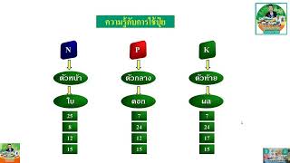 ป๋ยกิฟฟารีน ธาตุหลัก ธาตุอง ธาตุเสริม เลือกใช้อย่างไร ตรงใจพืช