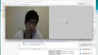 ofxCv example-flow-keypoints TEST