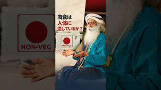 肉食は人体に適しているか？  | サドグル