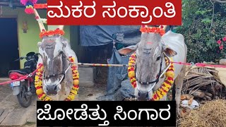 ನಮ್ಮ ಊರಿನ ಸಂಕ್ರಾಂತಿ ಹಬ್ಬದ ಜೋಡೆತ್ತು ಸಿಂಗಾರ | my village Sankranti festival