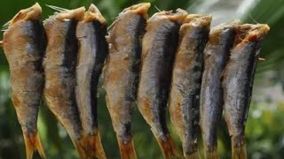 How to make fried sardines ( sardalya tava )