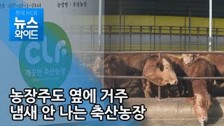 이웃과 함께 사는 '깨끗한 축산농장' / 대구경북 현대hcn