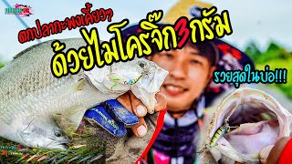 ตกปลากะพงรวม100โลโดยการเคาะไมโครเพียง3กรัม ได้9ตัว