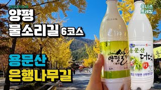 양평 물소리길 6코스 용문역 - 용문사 스탬프 투어 둘레길 걷기 Yangpyeong MulSori-gil Course 6 | Trekking Hiking in South Korea