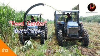 โคราชนำร่อง Feed center แหล่งผลิตอาหารสัตว์ TMR ใหญ่สุดในไทย | ปศุศาสตร์ นิวส์