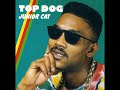 junior cat top dog