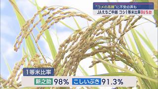 JAえちご中越が報告：コシヒカリ1等米比率86%台 去年の同時期と比べ大幅上昇【新潟】スーパーJにいがた10月8日OA