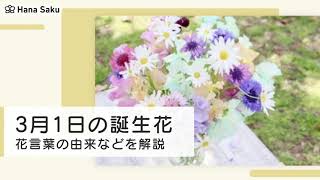 3月1日 誕生花