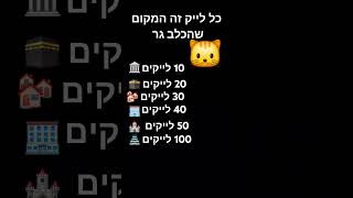 11 בינואר 2025