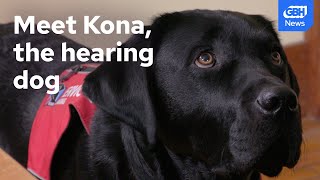 This service dog changed a woman's life after losing her hearing