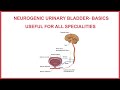 NEUROGENIC URINARY BLADDER-BASICS, USEFUL FOR ALL SPECIALITIES