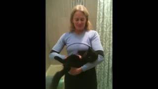 How to Express a Cat