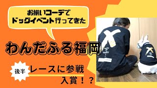 九州最大級のドッグイベントわんだふる2022に参戦！後半