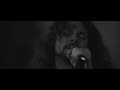 nailed to obscurity protean official video