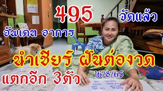 495นำเชียร์ฝันเห็นพ่อเต็มๆ ฝันต่องวดฝันเหมือนเดิม16/8/65#นำเชียร์ฝันแม่น