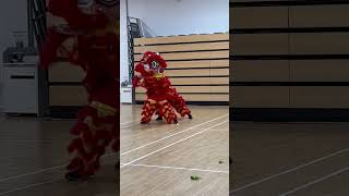 舞獅採青Yee’s Hung Ga Lion Dance #shorts #chinesenewyear #liondance#舞獅表演