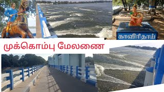 முக்கொம்பு மேலணை திருச்சி  Mukkombu melanai trichy kavery river crossing dam kollidam river starting