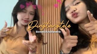 Enosh Sangma × Noga Sangma - Dingtangtele(SlowedAndReverb) || New Garo Song