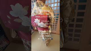 (週末)受け継いだ着物をただただアップする動画♯6.2 #kimono #着物 #普段着物 #fortnite #フォートナイト #日本語教師 #週末の過ごし方