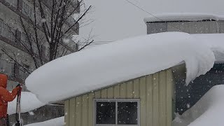 2023年 北海道田舎生活 雪下ろし１６🌈  物置の雪また積もった